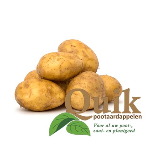 pootaardappelen eigenheimer